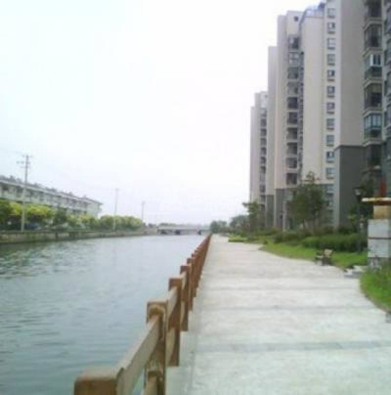 红光中心村（凌志路100弄）18413243周边环境图8