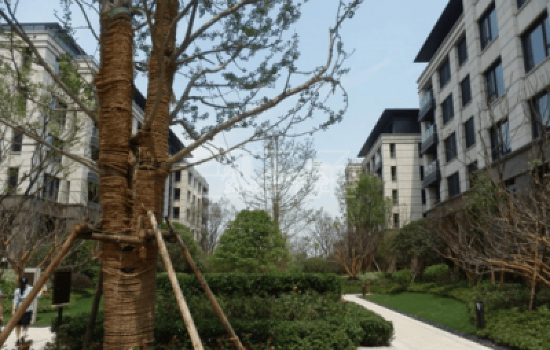 金地佘山天境13175035周边环境图0