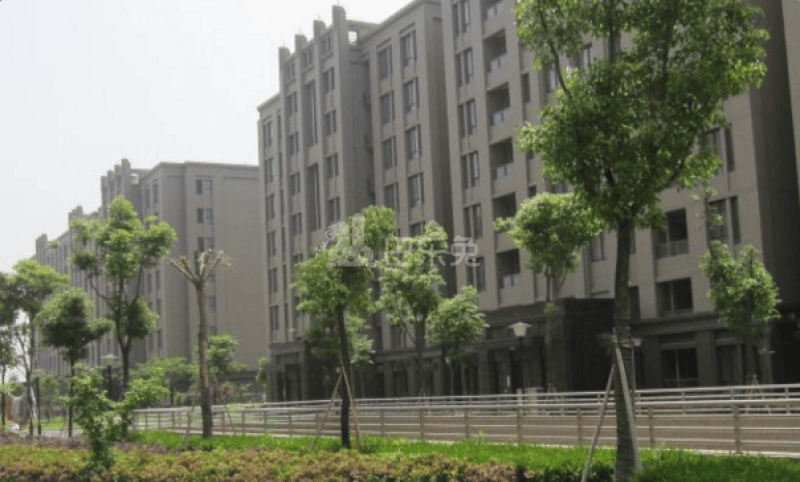 怡佳公寓11046031周边环境图8