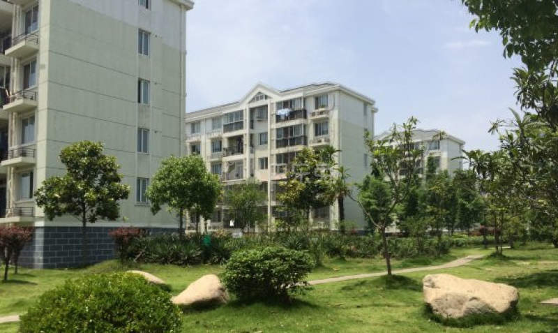 千汇苑四村8883572周边环境图12