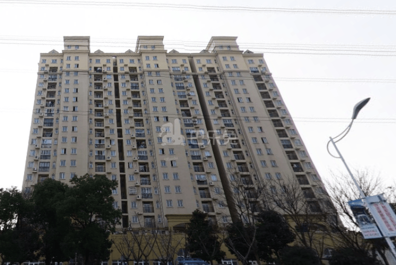 碧林湾新苑（中谊路969弄）6166229周边环境图10