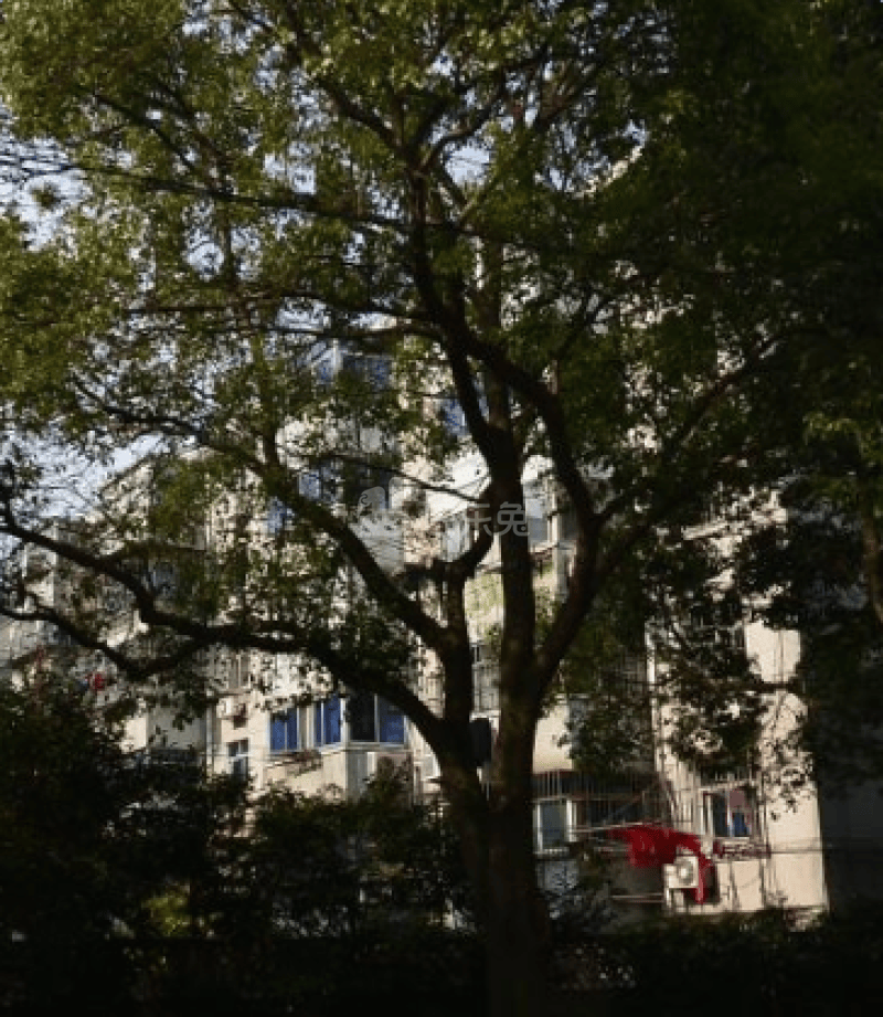 听潮五村11622776周边环境图7