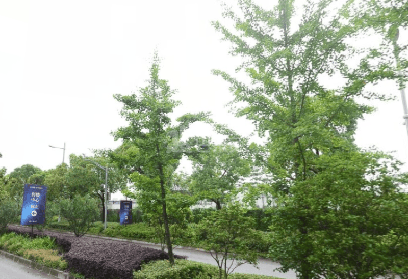 中建大公馆（别墅）5909805周边环境图30