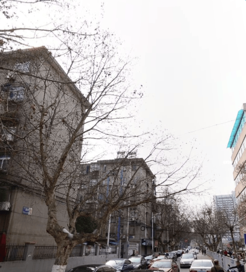 丁家桥小区11689092周边环境图10