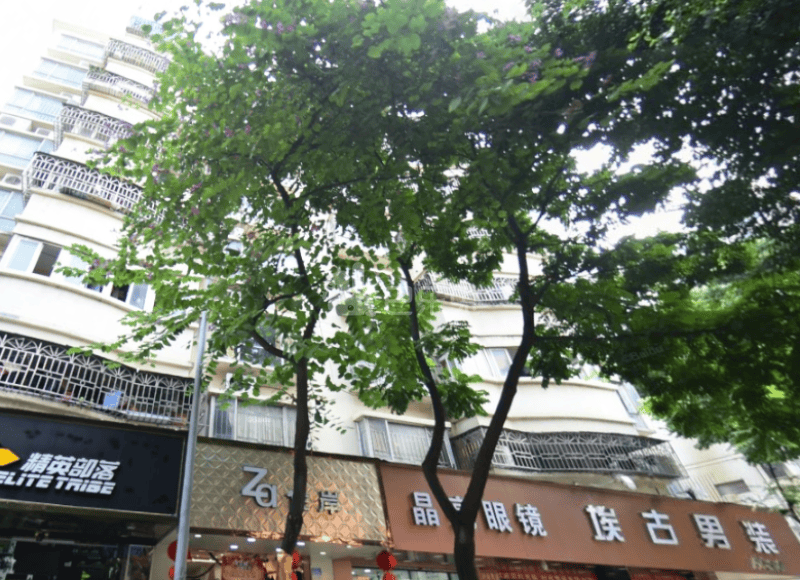 西丽楼小区16123883周边环境图1