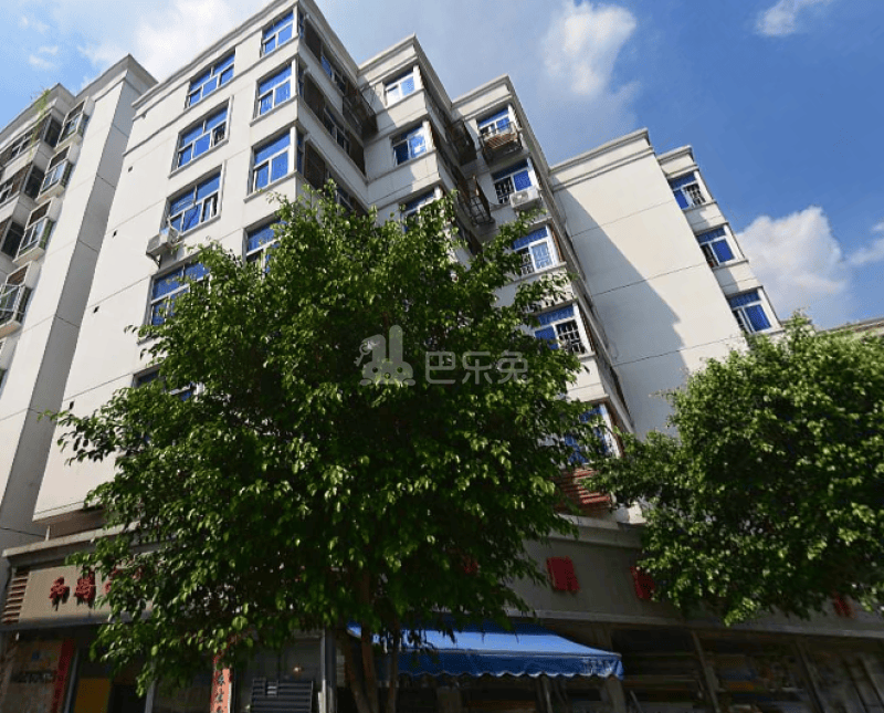 新洲南村11959032周边环境图2