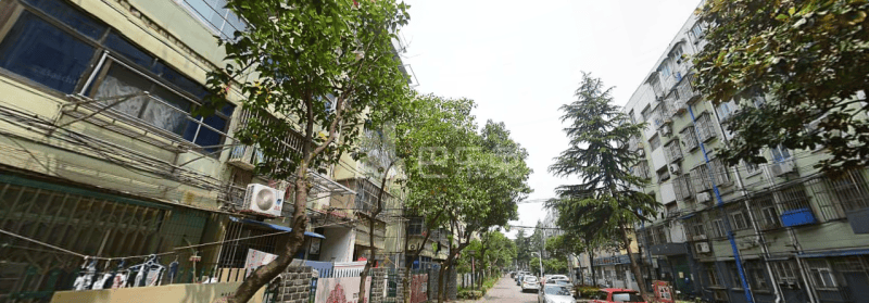 安康村12539906周边环境图2