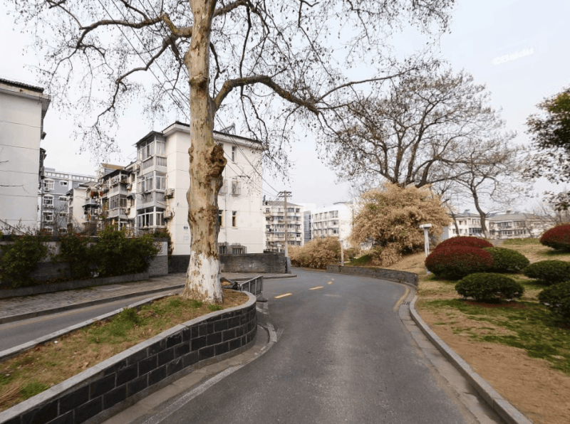 共青团路51号12947822周边环境图11