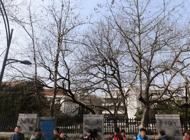 板仓街192号 2室0厅0卫