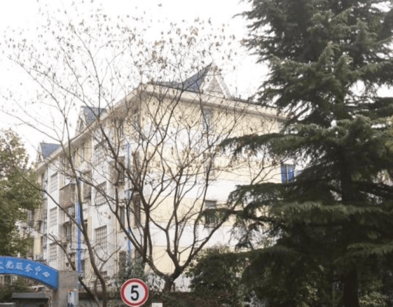 文体西村12884678周边环境图1