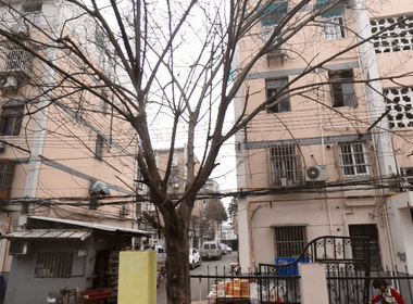 蓓蕾村 2室0厅0卫