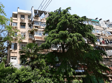 西柏果园 1室0厅0卫