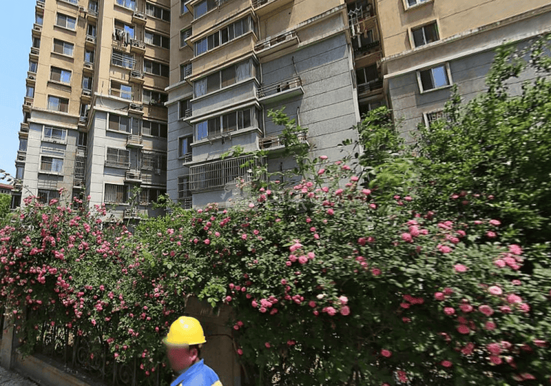 月光广场12589264周边环境图16