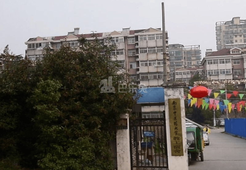 杏聚村10709583周边环境图11