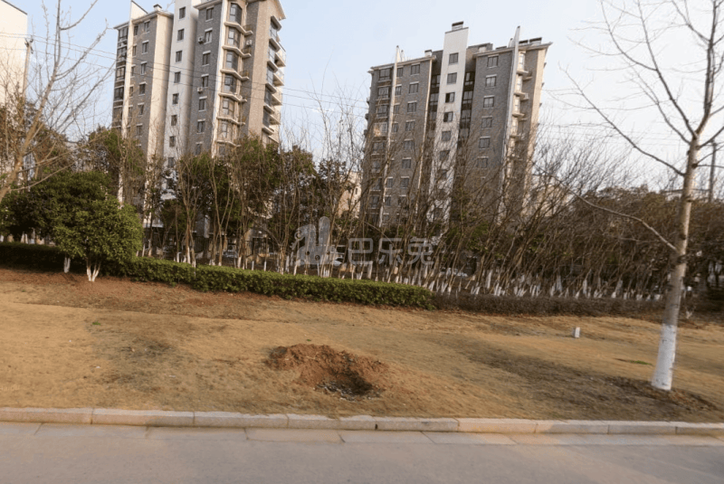 陶苑12747262周边环境图0