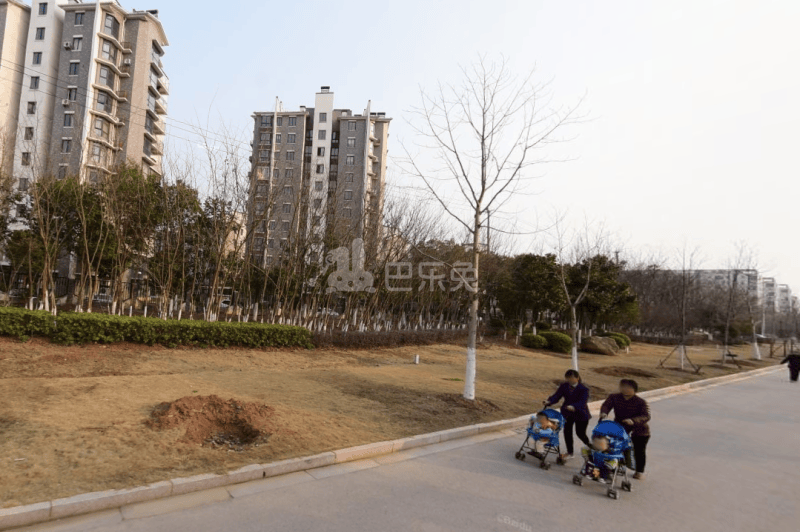 陶苑12747262周边环境图2