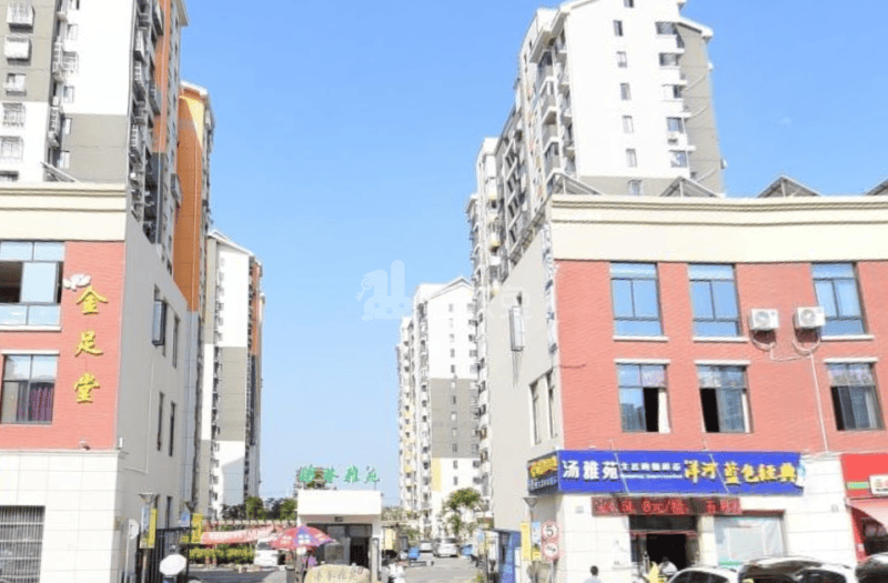 汤巷雅苑4405312周边环境图8