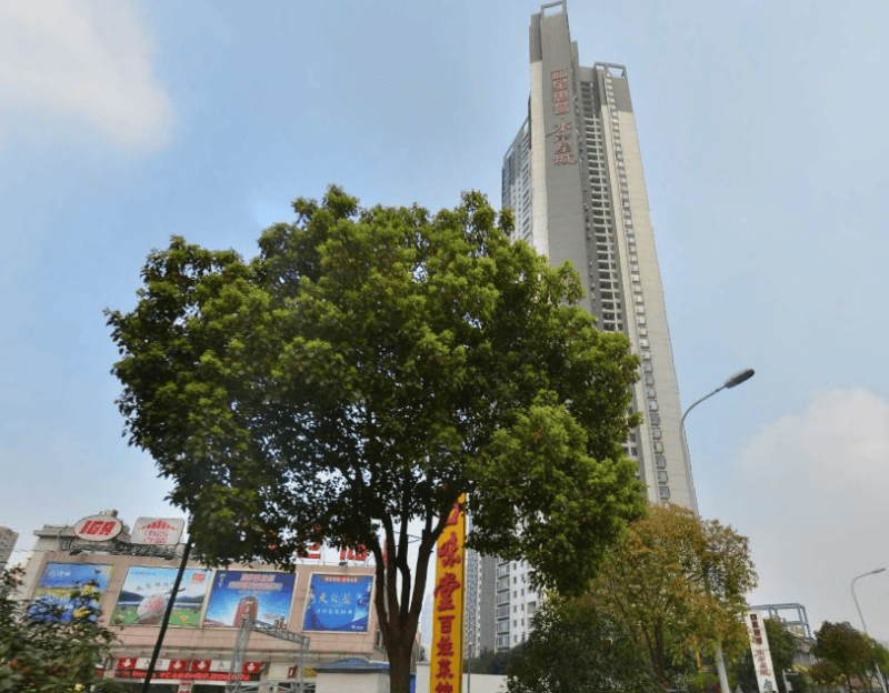 福星惠誉水岸星城a区