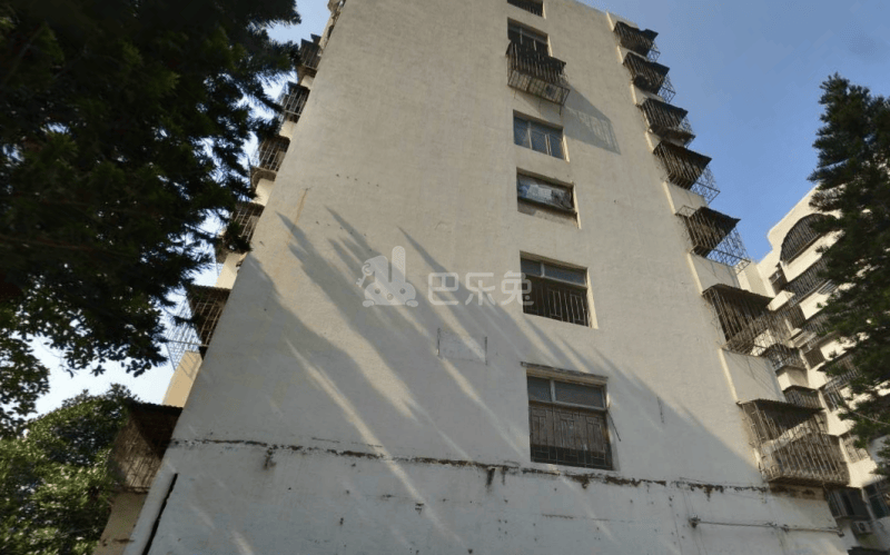 金田新村5818261周边环境图1