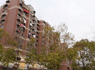 东方龙湖湾南湖苑 2室0厅0卫