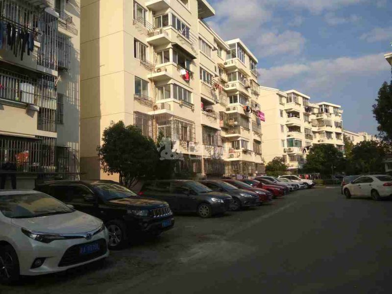 桃园新城中虹佳园东区13504689周边环境图15