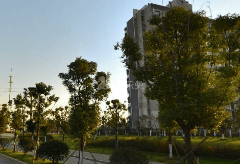 东麒佳苑12518199周边环境图2