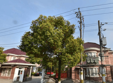 新华花园 1室0厅0卫