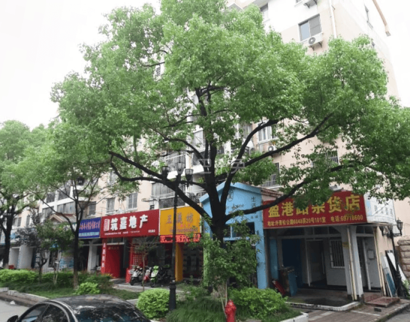 新青浦花苑2区17169605周边环境图11