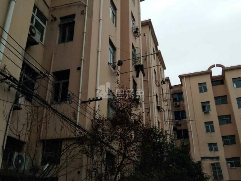 曹建路201弄13840787周边环境图8