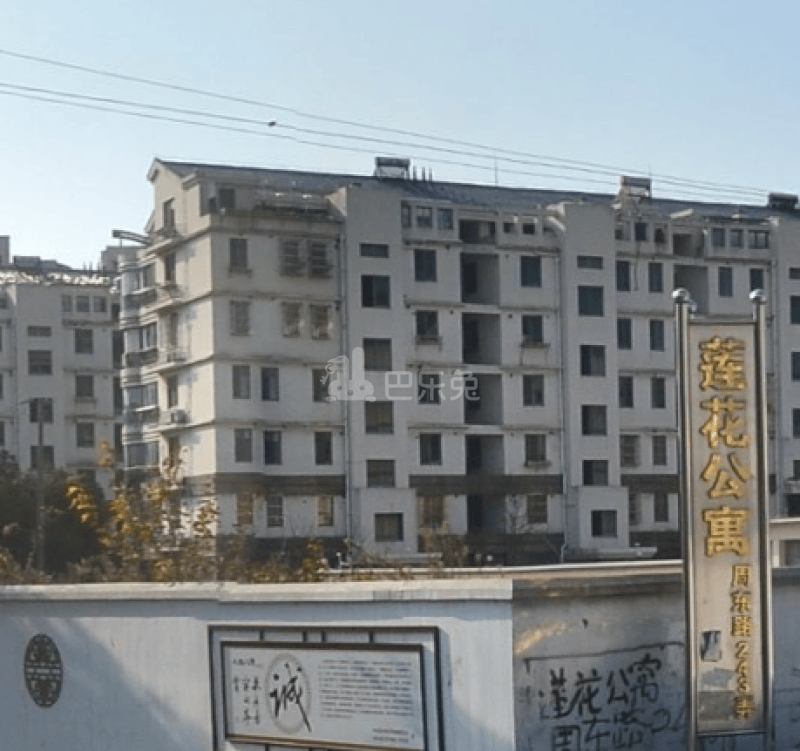 莲花公寓(周东路)15455043周边环境图9