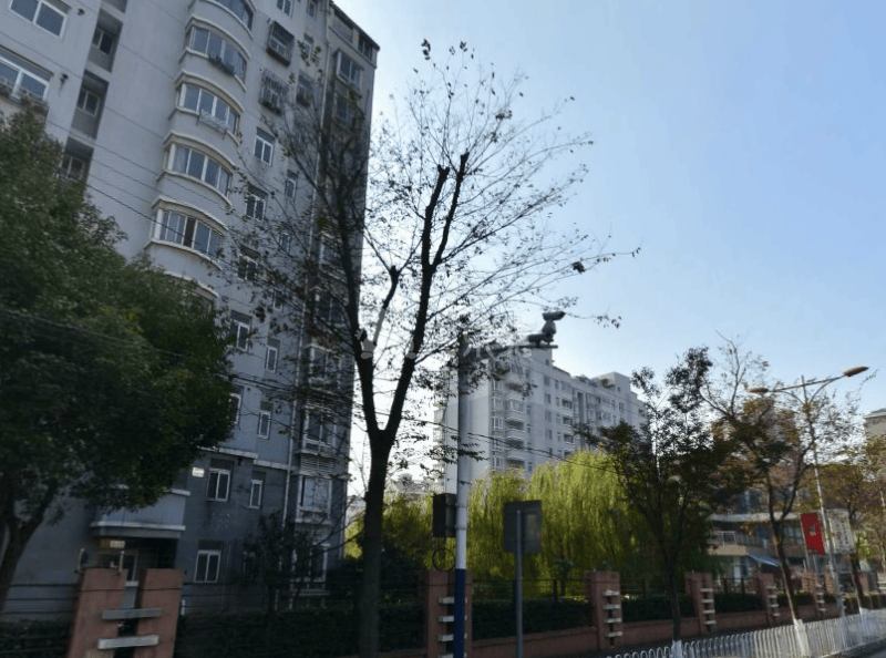 鑫都城柳岸人家6148035周边环境图13