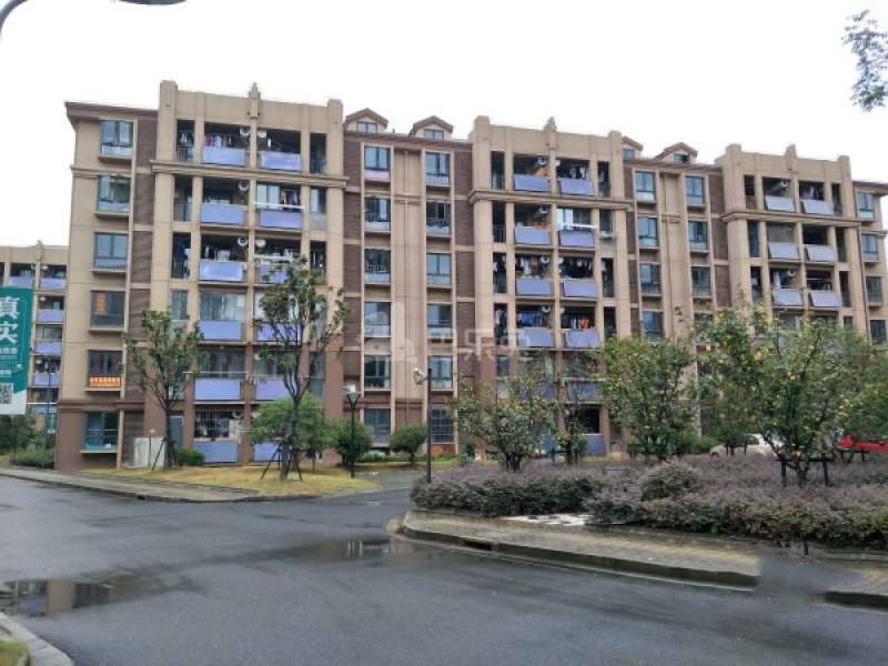 陈坊新苑281427周边环境图10