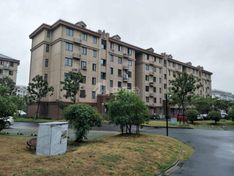 陈坊新苑281427周边环境图13