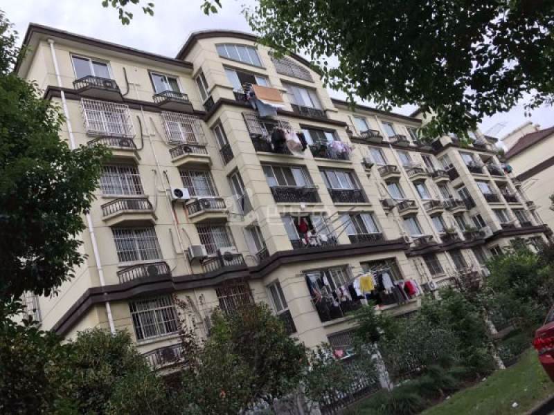 诚中城公寓（留水园别墅）17307750周边环境图19