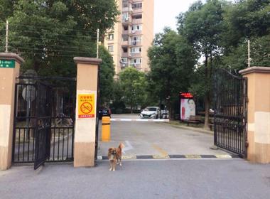 华绣路18弄小区 