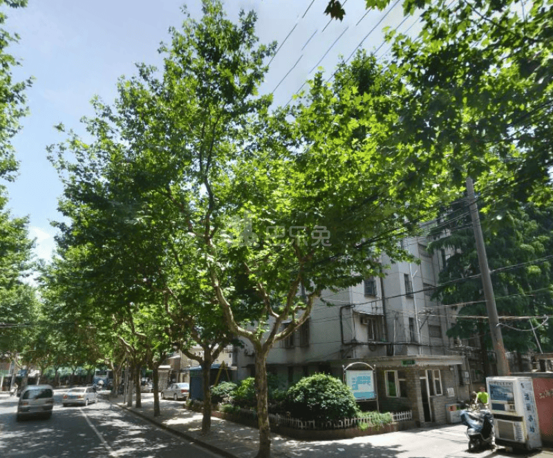 延吉东路130弄小区6385215周边环境图9