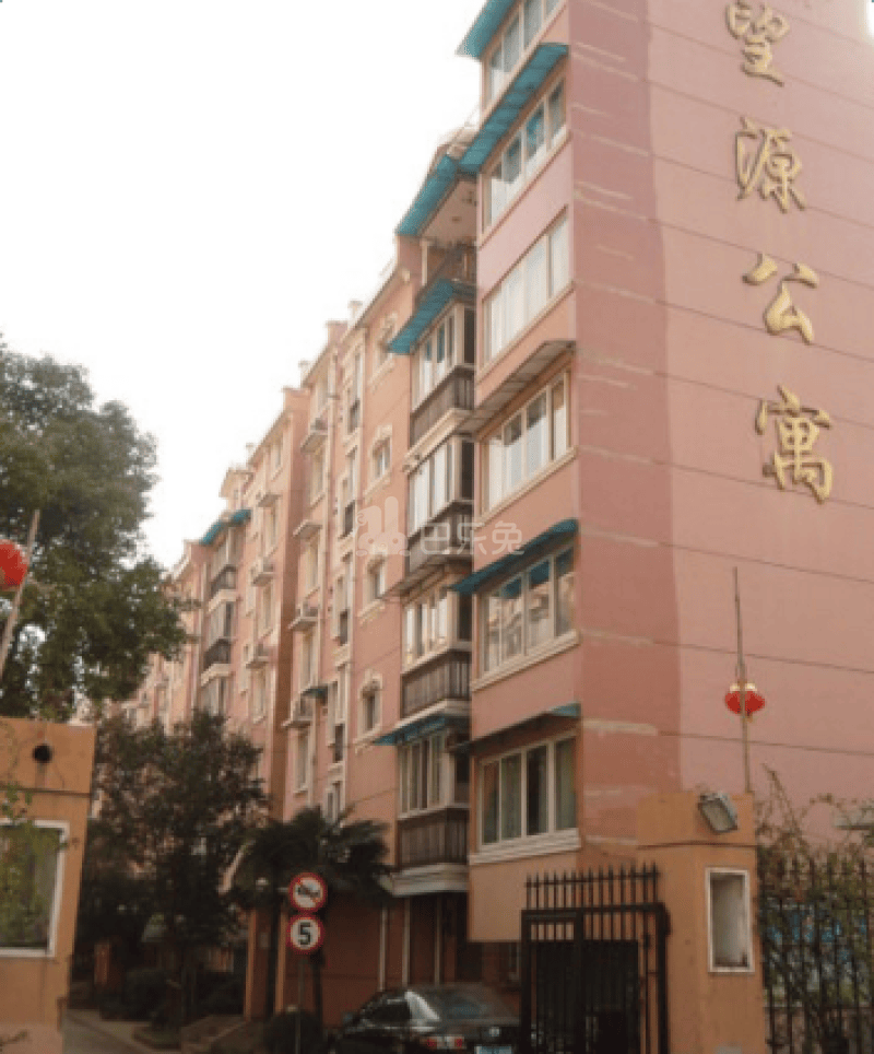 望源公寓（场中路2828弄）18228628周边环境图10