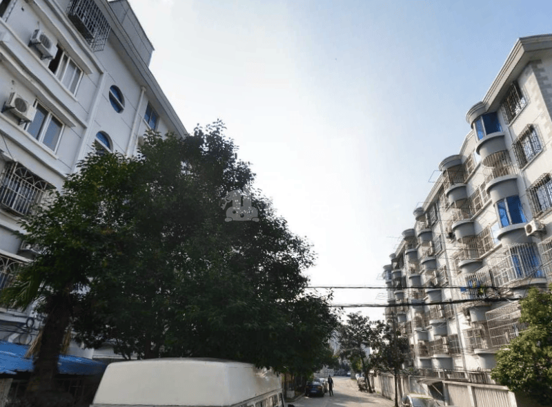 杨家镇小区（龙三路84弄）6691109周边环境图3