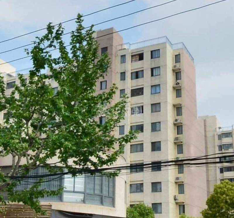 华泾绿苑15002986周边环境图11