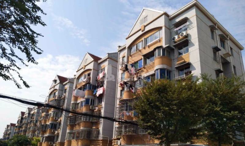 香楠小区（广兰路248弄）9642867周边环境图19