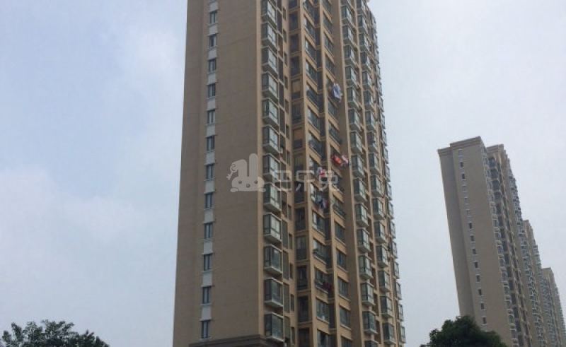 翔瑞新苑西区（鹤槎路185弄）6332584周边环境图9