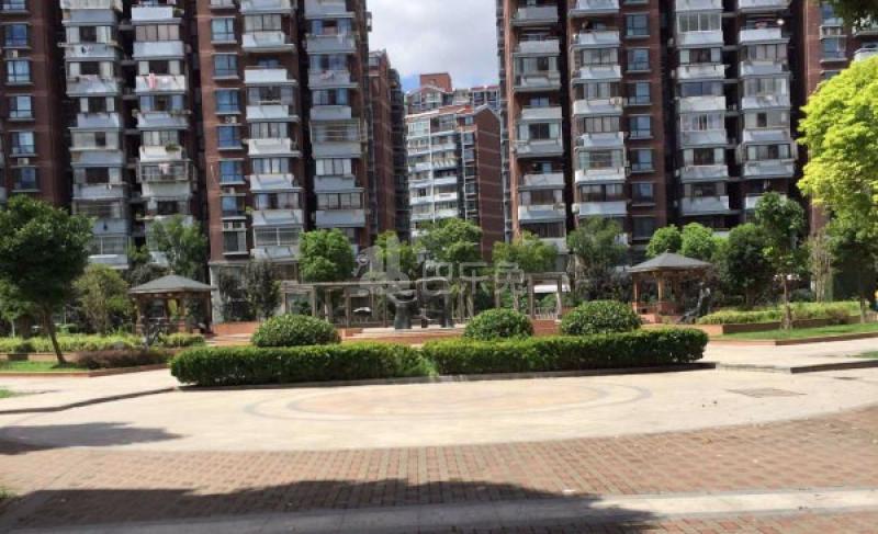 小上海新城三期5156070周边环境图5