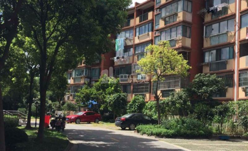 小上海新城三期5156070周边环境图8