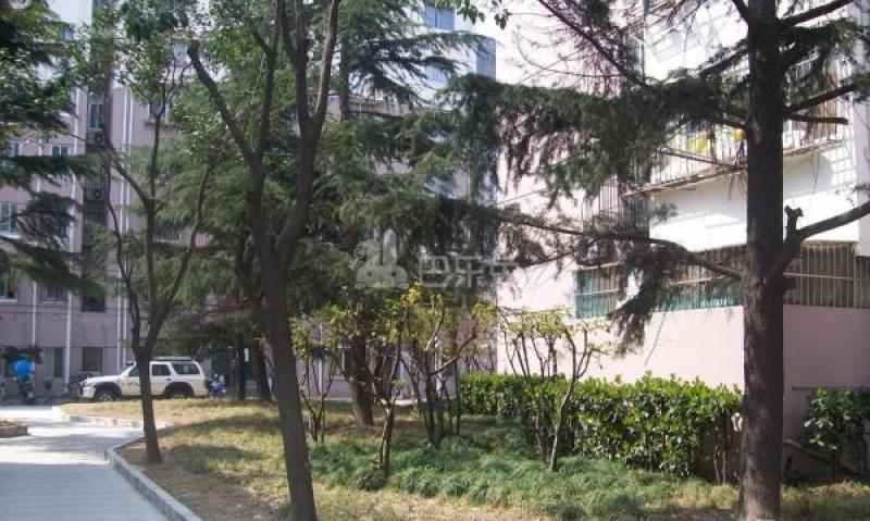 交暨小区（交暨路65弄）15914665周边环境图3