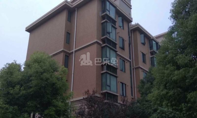 建德国际公寓1184698周边环境图18