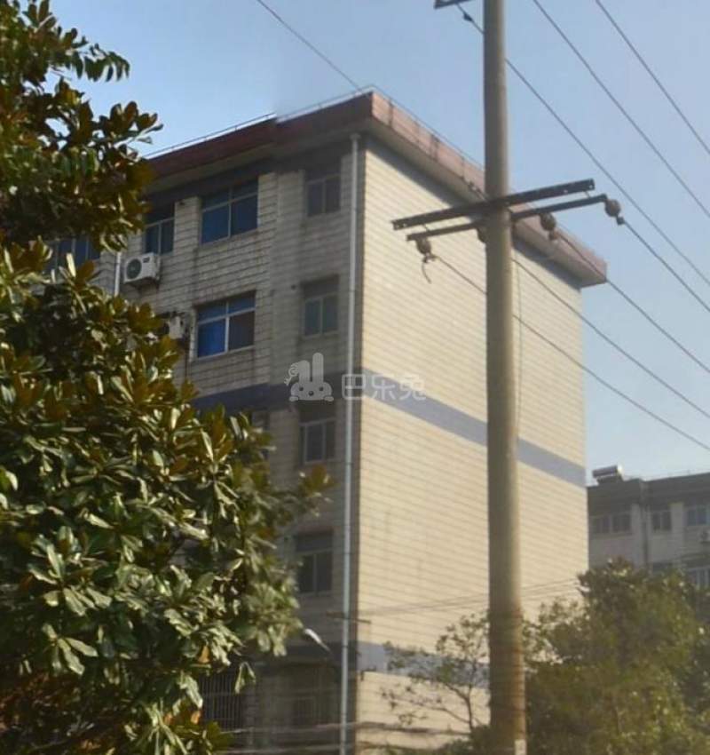 沈巷新村南区（月罗路307弄）9899531周边环境图22