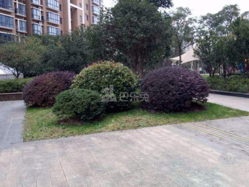 嘉诚国际花园5838697周边环境图18