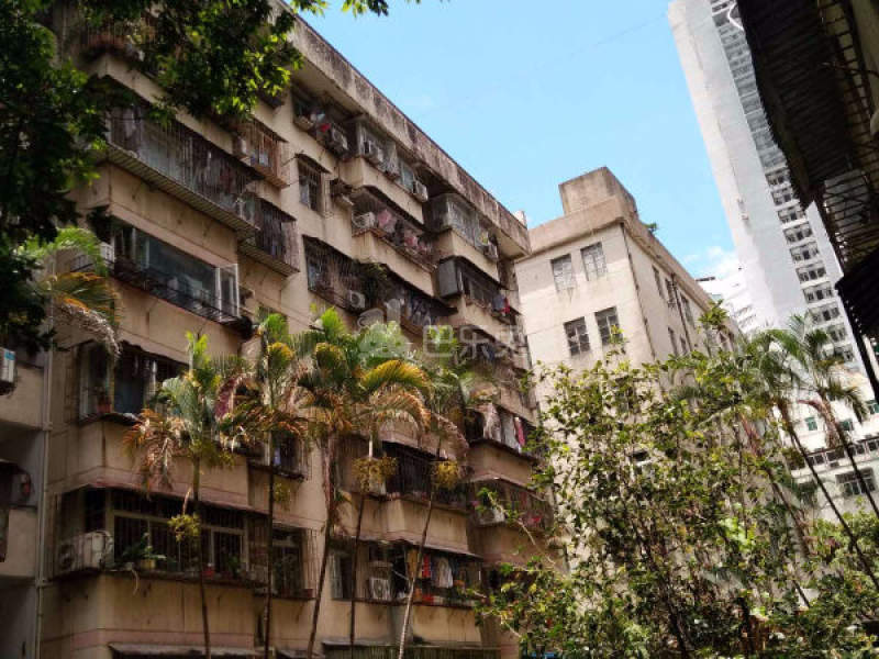 园丁楼2384897周边环境图14