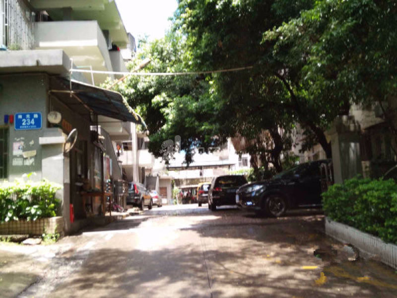 园丁楼2384897周边环境图15