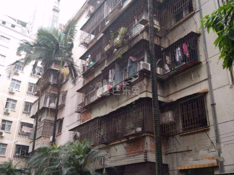 园丁楼2384897周边环境图16